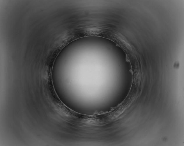 X0000100490655200806201654