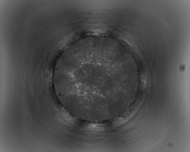 X0000100490657200806201654