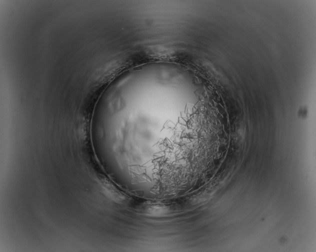 X0000100490658200806201654