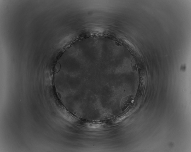 X0000100490661200806201654