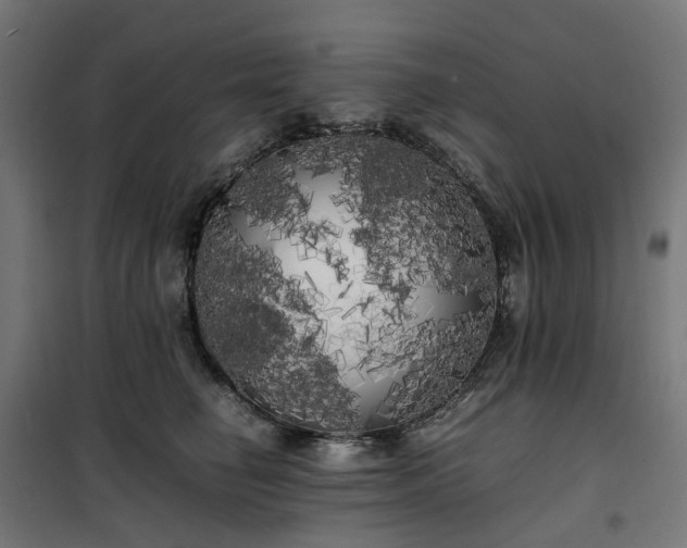 X0000100490662200806201654