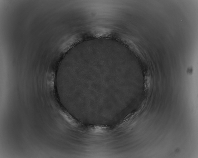 X0000100490664200806201654