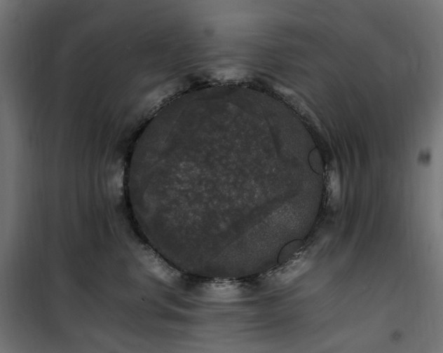 X0000100490668200806201654