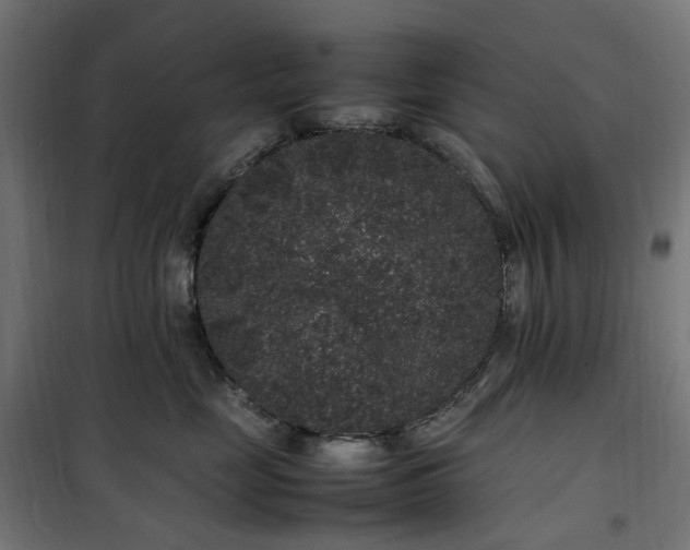 X0000100490669200806201654