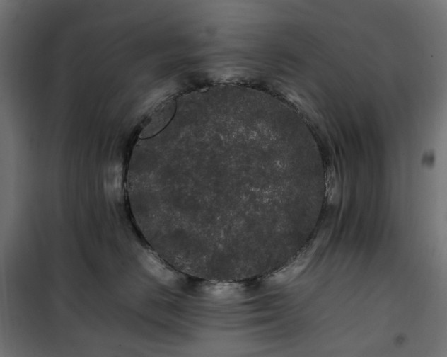 X0000100490670200806201654