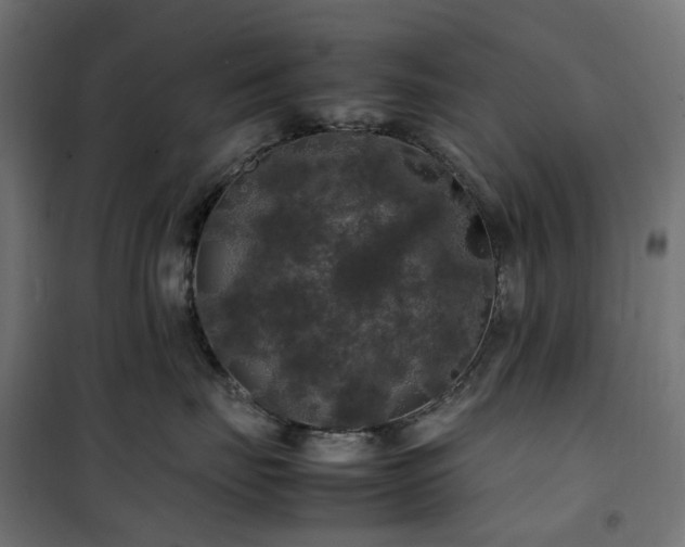 X0000100490671200806201654