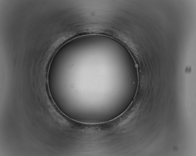 X0000100490673200806201653