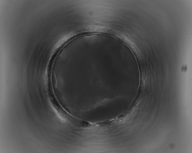 X0000100490674200806201653
