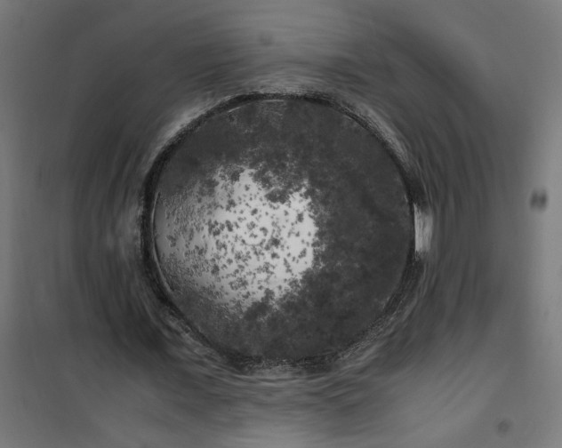 X0000100490675200806201653