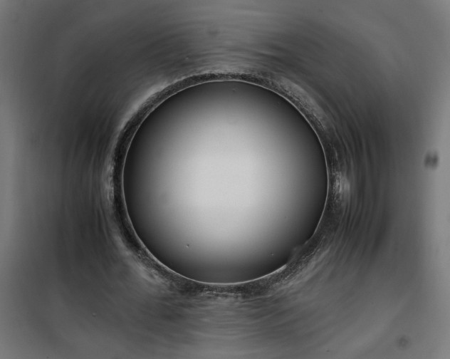 X0000100490676200806201653