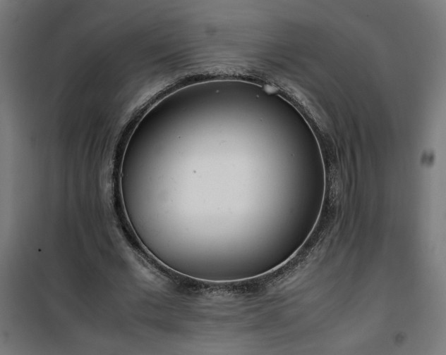X0000100490677200806201653