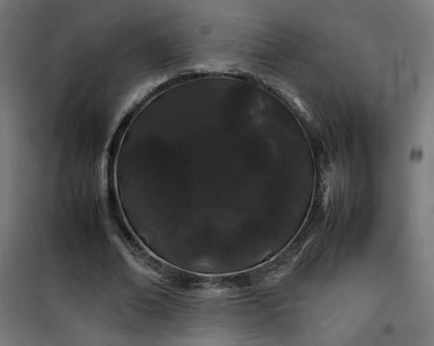 X0000100490678200806201653
