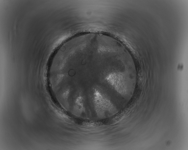 X0000100490679200806201653