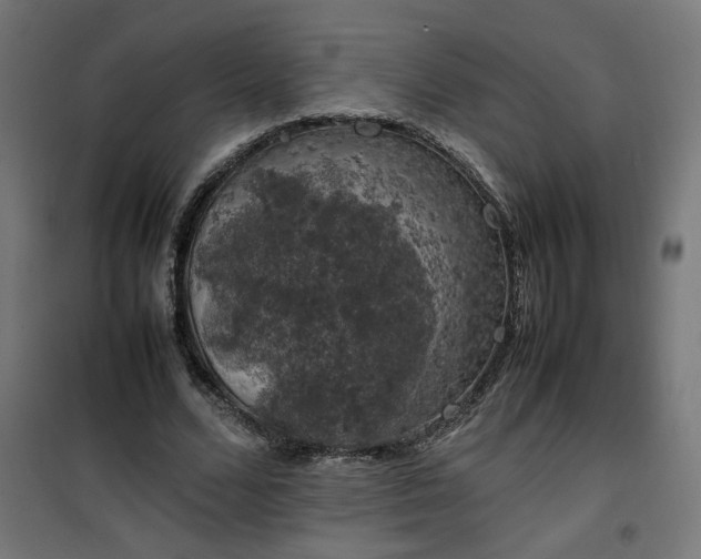 X0000100490680200806201653