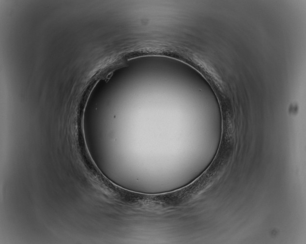 X0000100490681200806201653