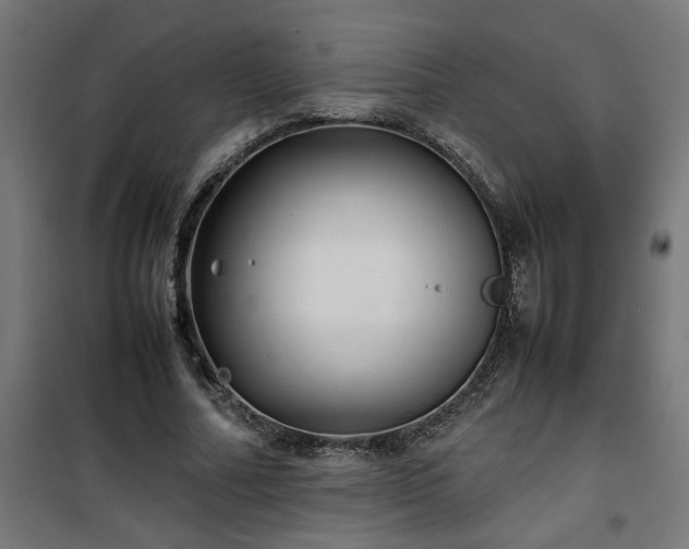 X0000100490682200806201653