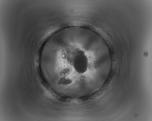X0000100490683200806201653