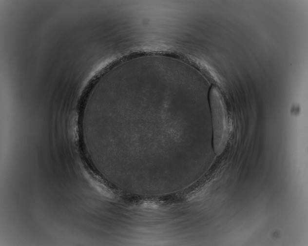 X0000100490684200806201653