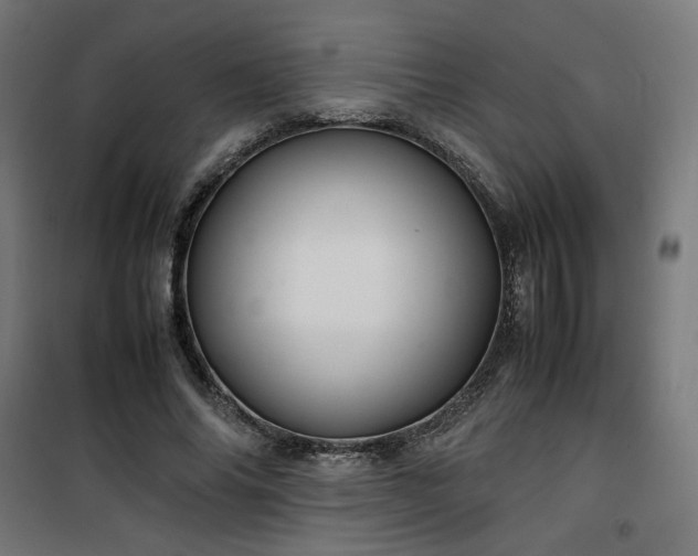 X0000100490686200806201653