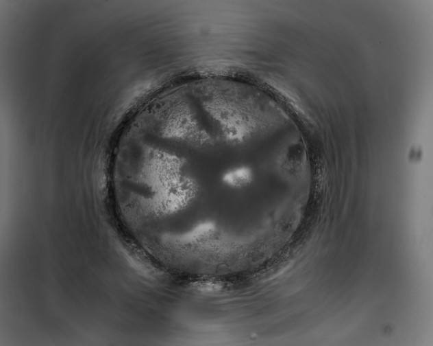 X0000100490687200806201653