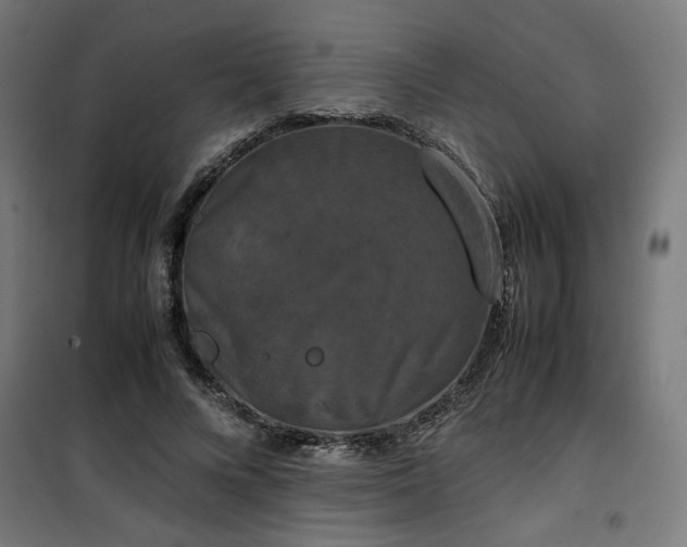 X0000100490688200806201653