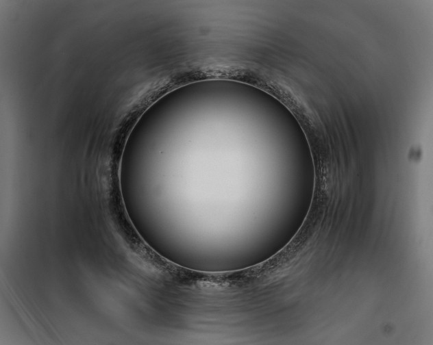 X0000100490690200806201653