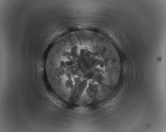 X0000100490691200806201653