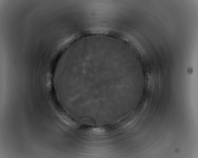 X0000100490692200806201653