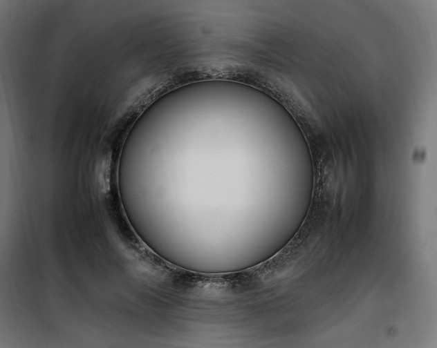 X0000100490694200806201653