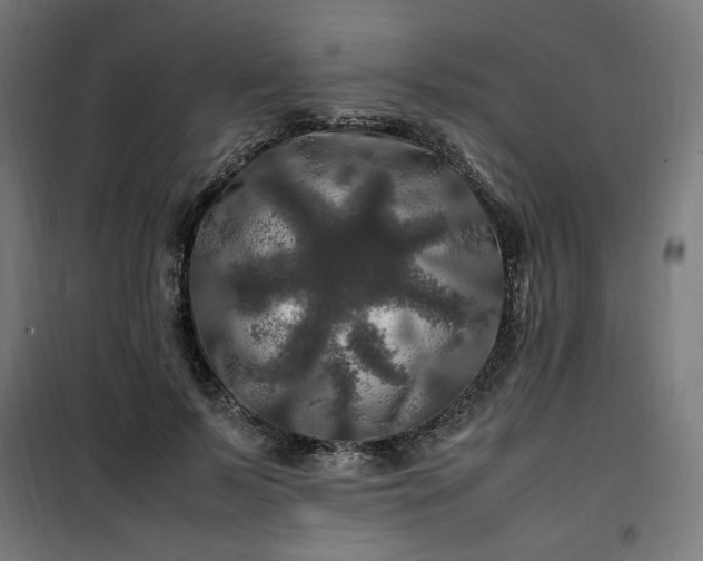 X0000100490695200806201653