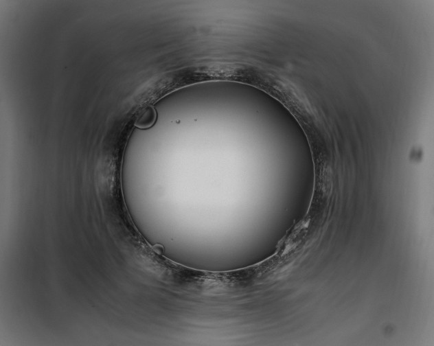 X0000100490697200806201653