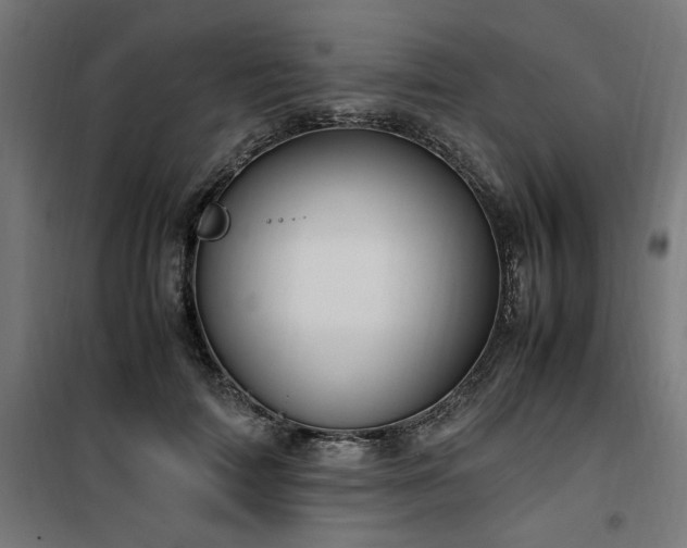 X0000100490698200806201653