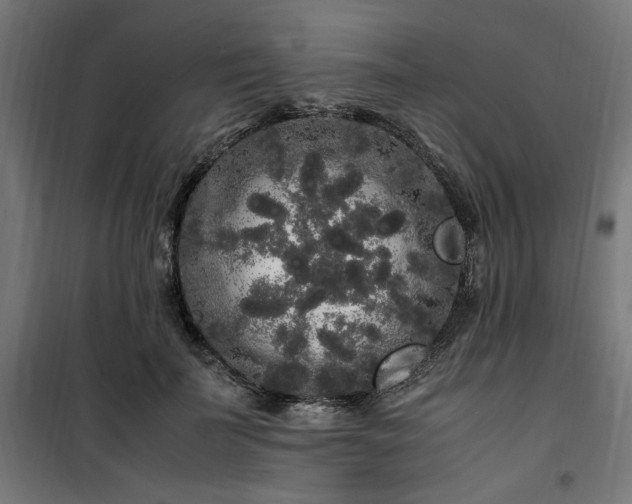 X0000100490699200806201653