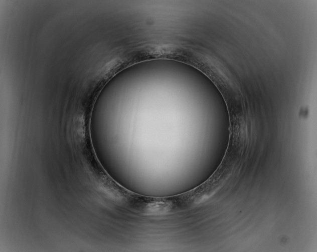 X0000100490700200806201653