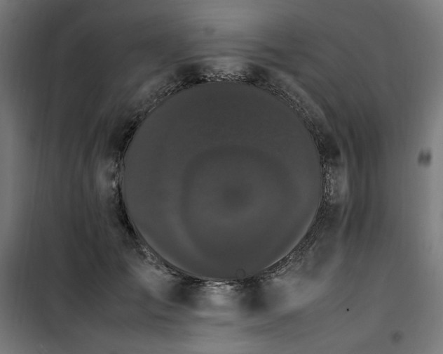 X0000100490701200806201653