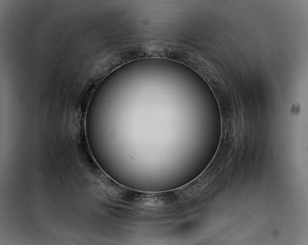 X0000100490702200806201653