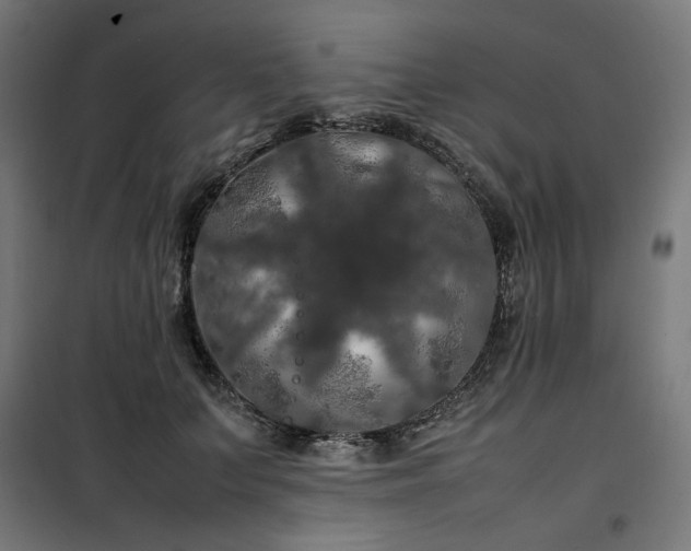 X0000100490703200806201653