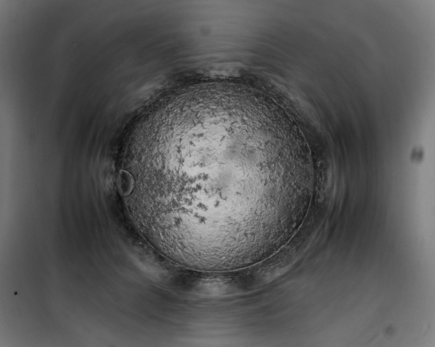 X0000100490704200806201653
