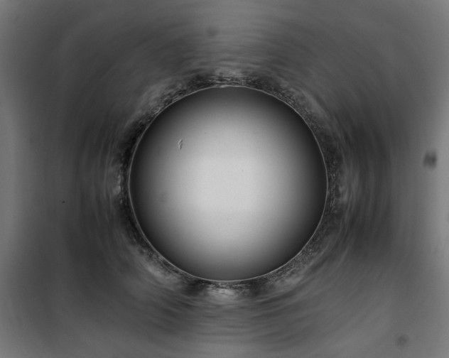 X0000100490706200806201653