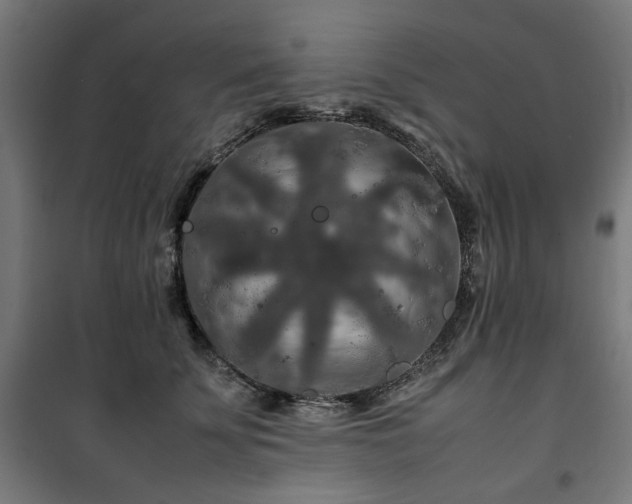 X0000100490707200806201653