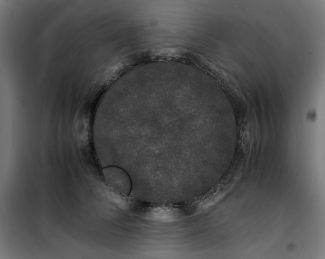 X0000100490708200806201653