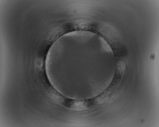 X0000100490709200806201652