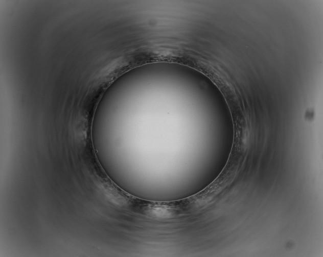 X0000100490710200806201652