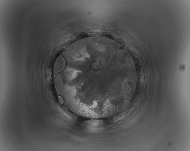 X0000100490711200806201652