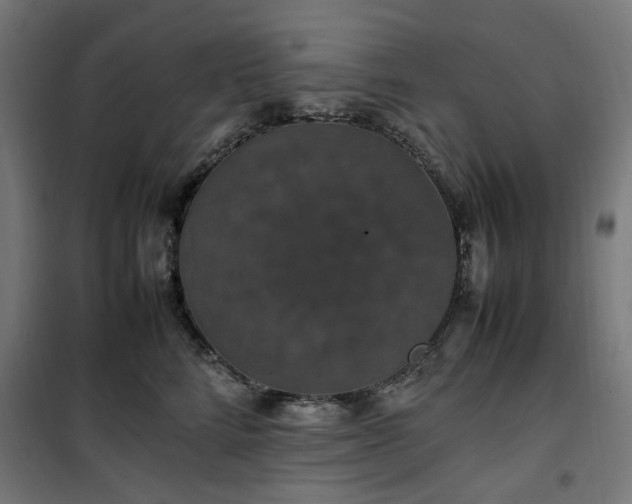 X0000100490712200806201652