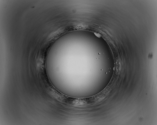 X0000100490714200806201652