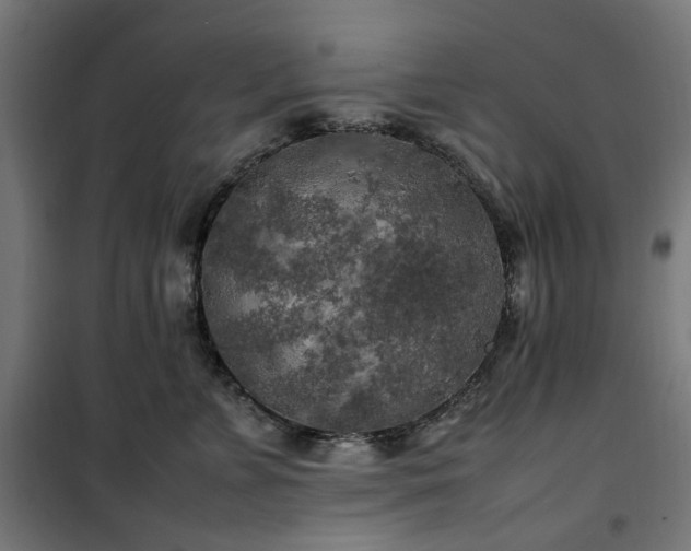 X0000100490715200806201652