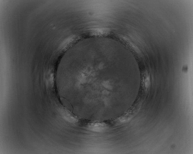 X0000100490716200806201652