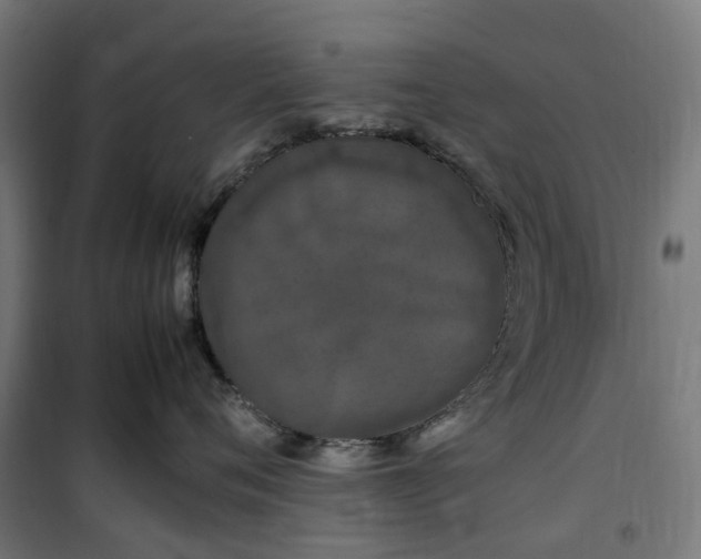 X0000100490720200806201652