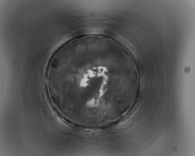 X0000100490721200806201652
